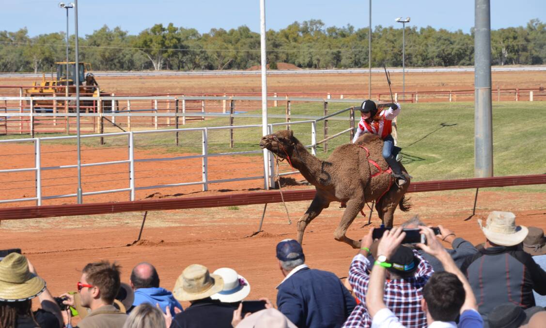HOMEWARD BOUND: Oakfield Ranch's Chantelle Jannese will be among the riders again at this year's Boulia Camel Races.