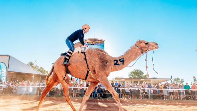 Boulia Camel Races is on this weekend.