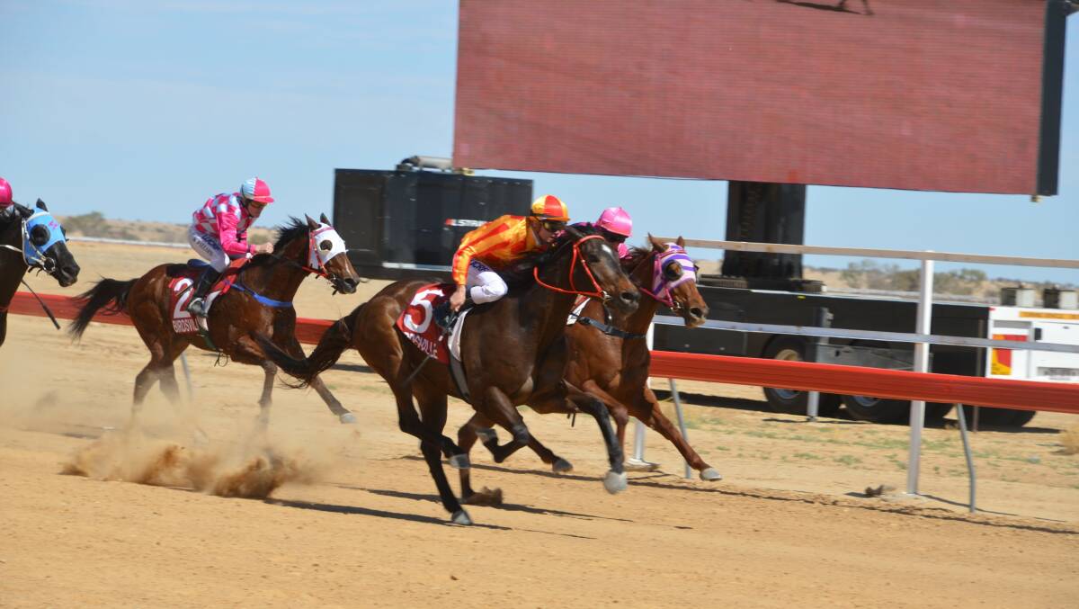DESERT DAYS: The Birdsville Cup Races is calling out for volunteers to help run the September event. Photo: Derek Barry