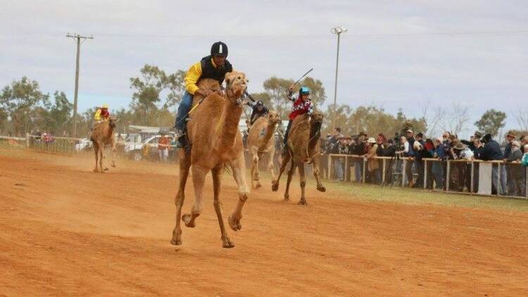 The Boulia Camel Races have been cancelled.