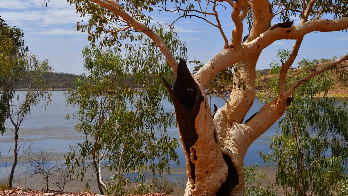 Another summer day at Lake Moondarra near Mount Isa with no rain to be had. Photo: Derek Barry
