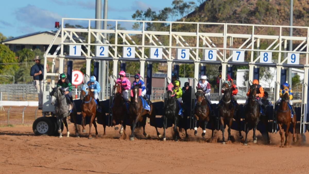 Runners leave the barriers to begin the Mount Isa Cup.