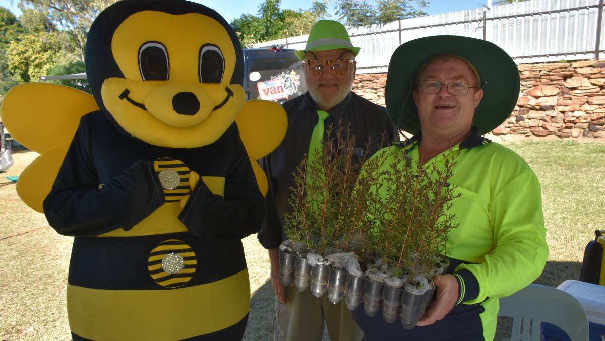 Buzz Bee, Gary Osman and Bluey Beeman were handing out free Australian Jelly Bushes at Naidoc Week celebrations. Photo: Samantha Walton.