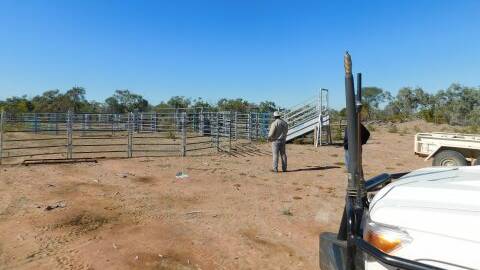 About 60 portable cattle yard panels were stolen from a property near Croydon.