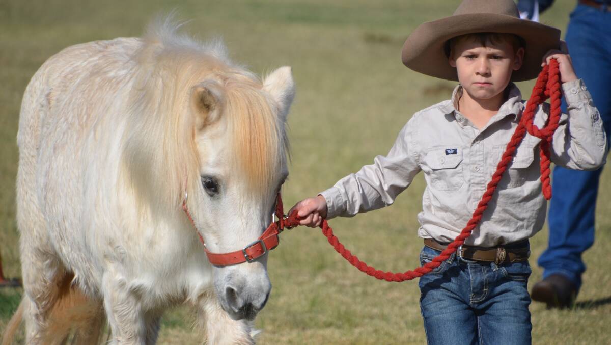 TAKES THE BISCUIT: Kane Powley, aged seven, guides his adorable pony Biscuit around the ring at the Cloncurry Show. Photo: Derek Barry