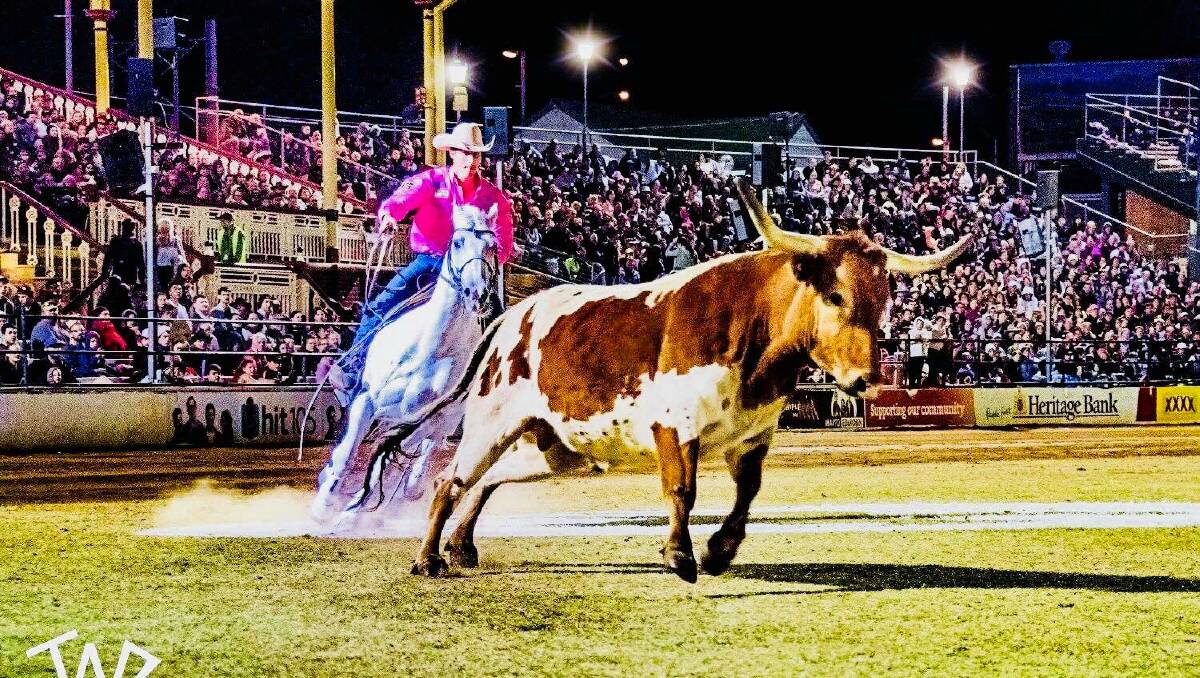 The 'Night Of the Horse' is set to be Australia's biggest night of equine entertainment at Mount Isa Show. Photo: Todd Rothe