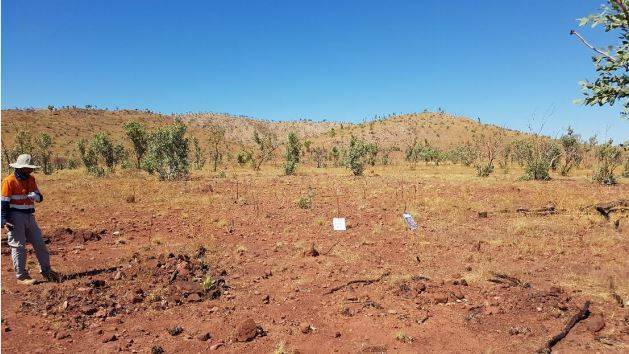 Castillo Copper Limited has appointed a lead contractor for upcoming drilling at two high-priority targets at the Mt Oxide Project north west of Mount Isa.