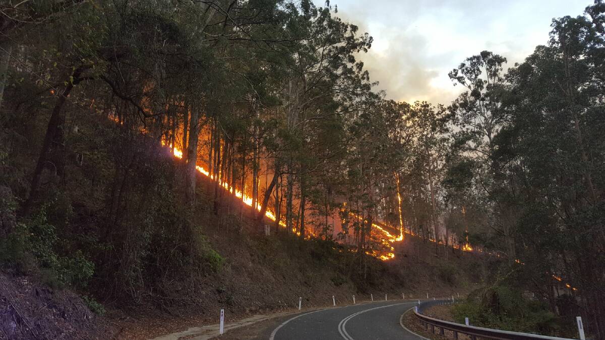The Oxley Highway fire at mt Seaview. Photo: Wauchope Rural Fire Brigade.