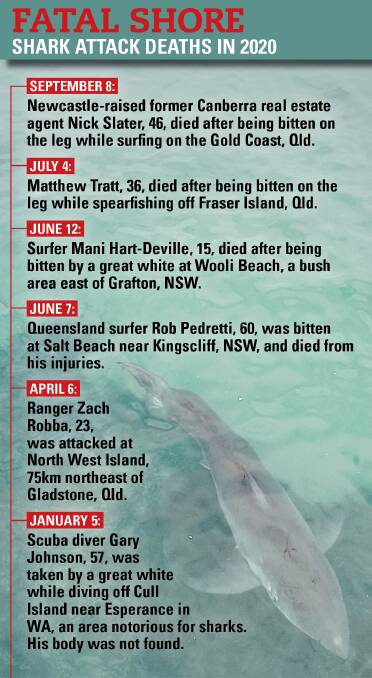 As summer approaches, we ask: why so many shark attacks?