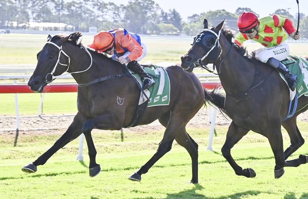 Well timed is tipped to perform strongly in Race 7, the Polytrack Provincial Midway Championships Wildcard over 1400 metres at Newcastle. Picture Bradley Photos