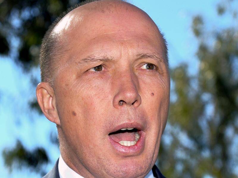 Peter Dutton is taking legal advice after a NZ teen won his appeal and was released from detention.