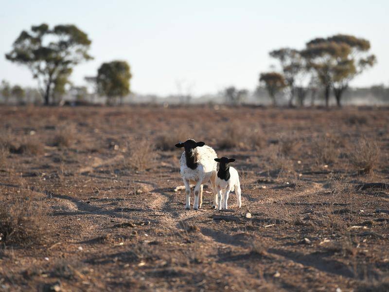 Queensland suffered drought conditions before flood waters swamped vast swathes of the northwest.