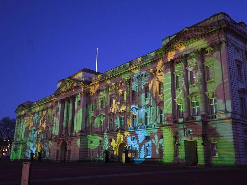 A rainforest design projected on to Buckingham Palace is part of a global conservation initiative.