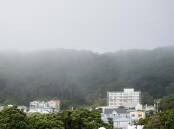 A thick fog descended on Wellington and all but prevented air travel, with 130 flights cancelled. (John Cowpland/AAP PHOTOS)