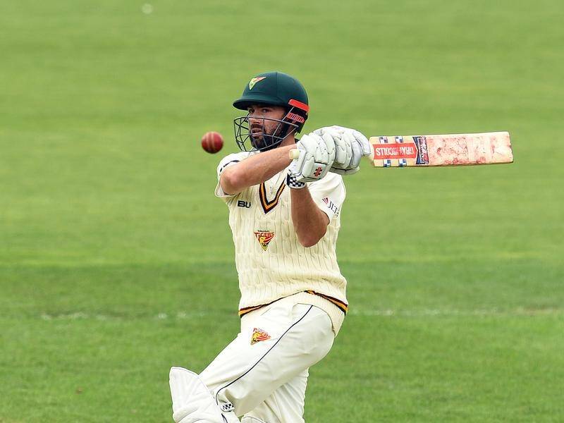 Tasmanian Alex Doolan is 50no at tea on day two of the Sheffield Shield match against NSW in Hobart.