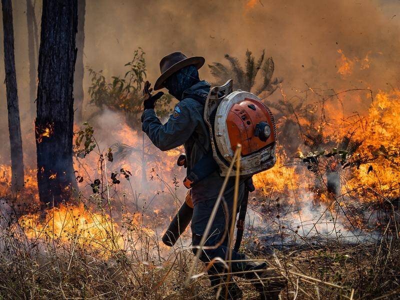 Indigenous rangers often fight fires with just a leaf blower to create breaks and extinguish blazes. (HANDOUT/AUSTRALIAN INSTITUTE FOR DISASTER RESILIENCE)