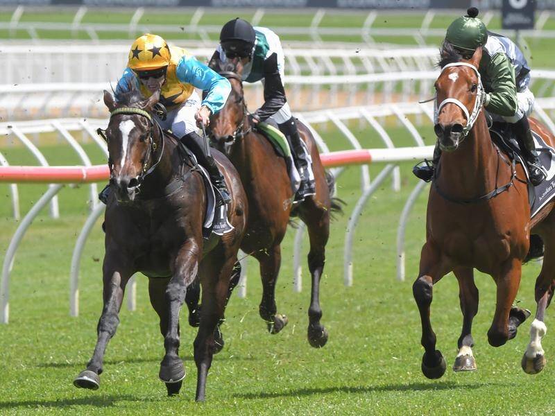 Diamond Thunder has overcome a slow start to continue his winning ways at Wyong.