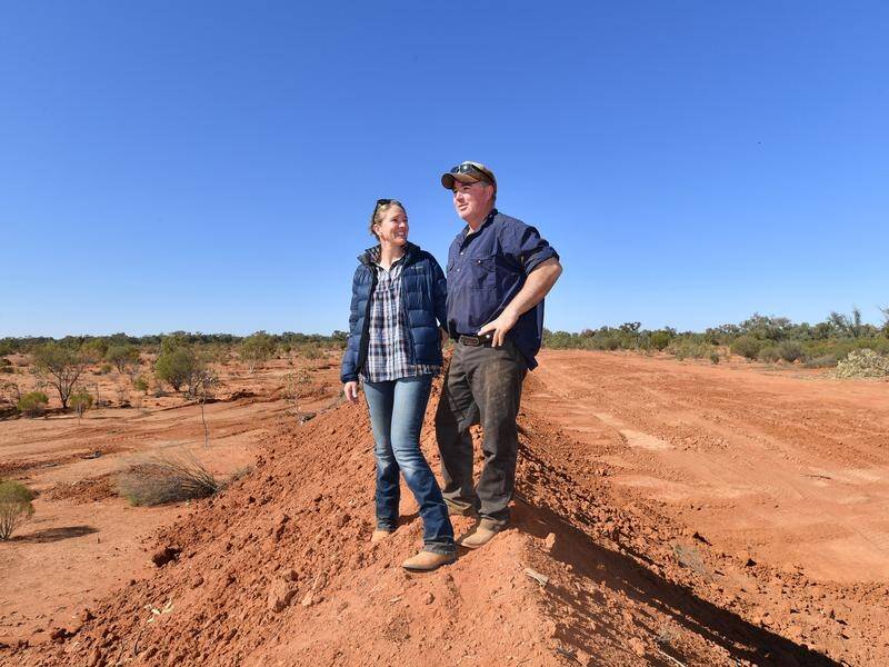 Amid a severe drought, Louise and Zane Turner are planning to revive a wetland to western NSW.