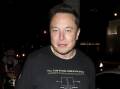 Elon Musk says allegations he exposed himself to a flight attendant on a private jet are untrue.