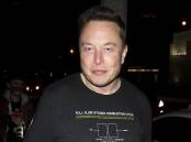 Elon Musk says allegations he exposed himself to a flight attendant on a private jet are untrue.