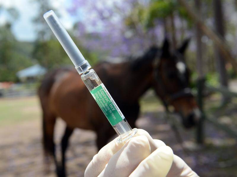 Horse owners are urged take steps to protect themselves and their animals from the Hendra virus.