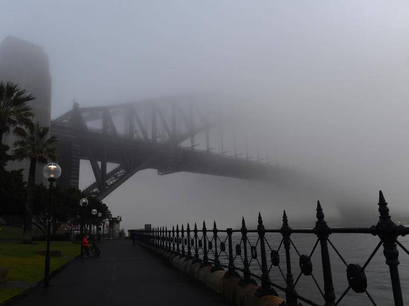 Thick fog has created commuter difficulties for Sydney.