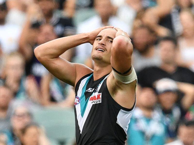 Sam Powell-Pepper has stood himself down from the Port Adelaide AFL team over a nightclub incident.
