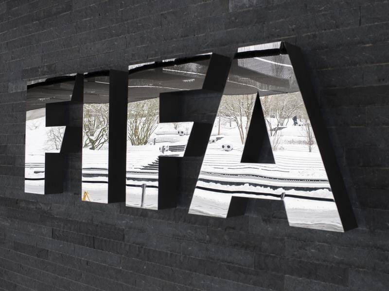 The IOC wants to discuss with FIFA their plans to hold a World Cup every two years.