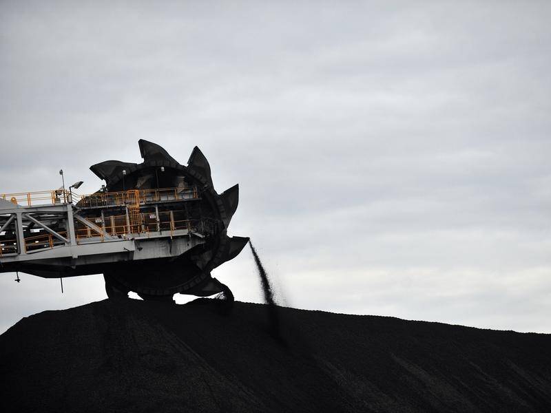 A Labor MP's statement that 65 per cent of coal exports are metallurgical coal is misleading.