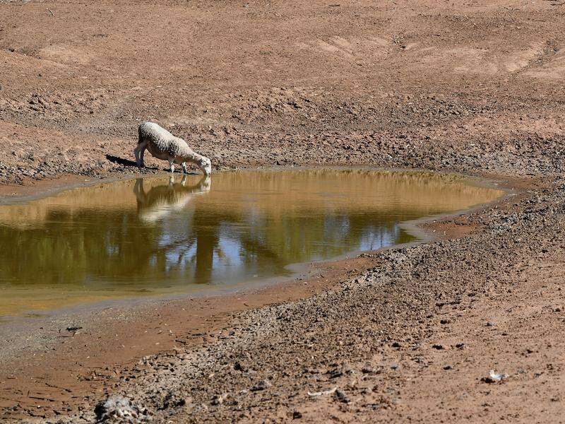 Major General Stephen Day's report on the drought has been released by the government.