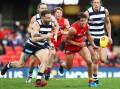 Geelong have surged to their 12th straight win by thrashing the Suns by 60 points on the Gold Coast (Jason O'BRIEN/AAP PHOTOS)