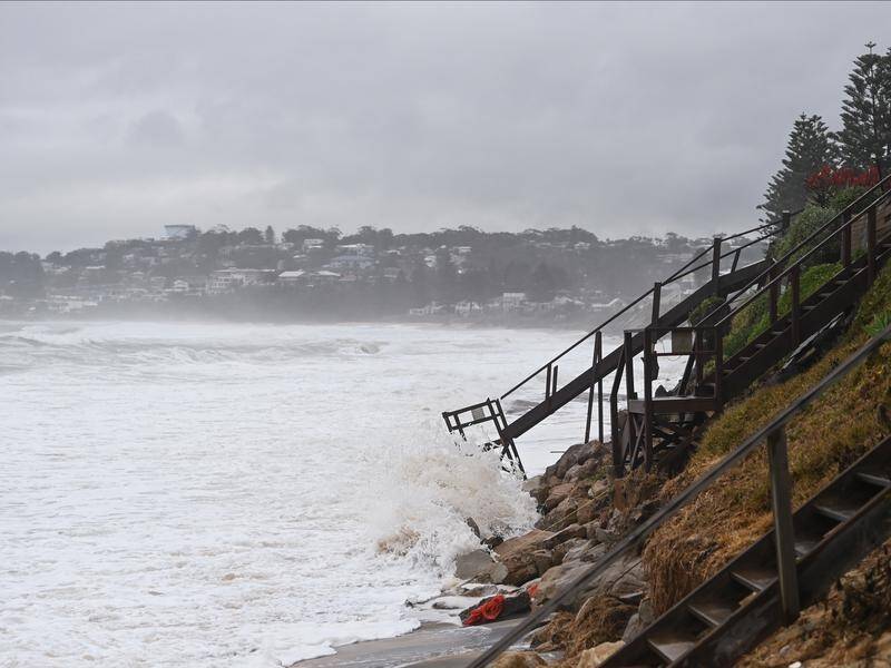NSW and Queensland councillors are warning about the costs of extreme weather.