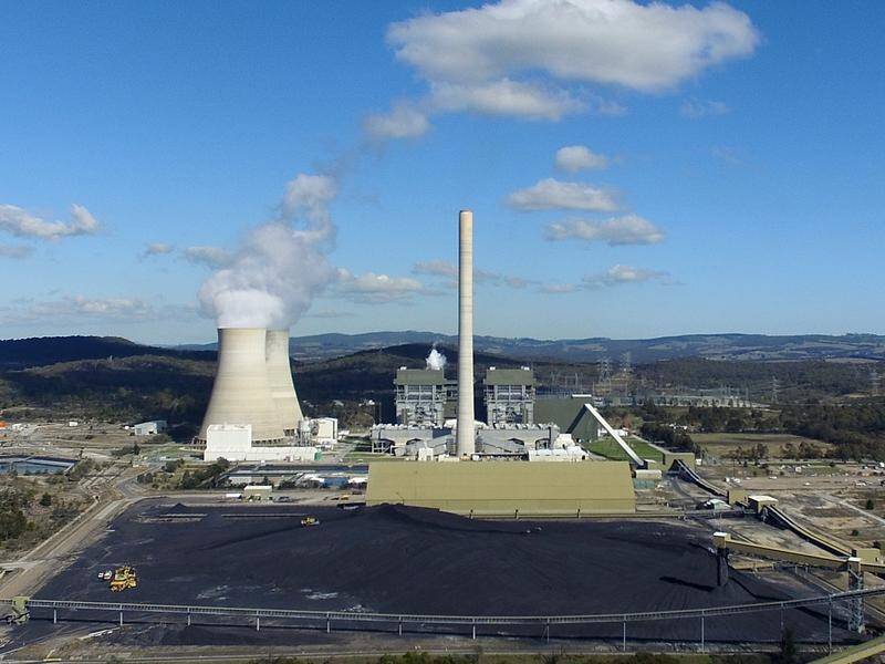 The audit office is investigating a federal grant for a coal-fired power station feasibility study.