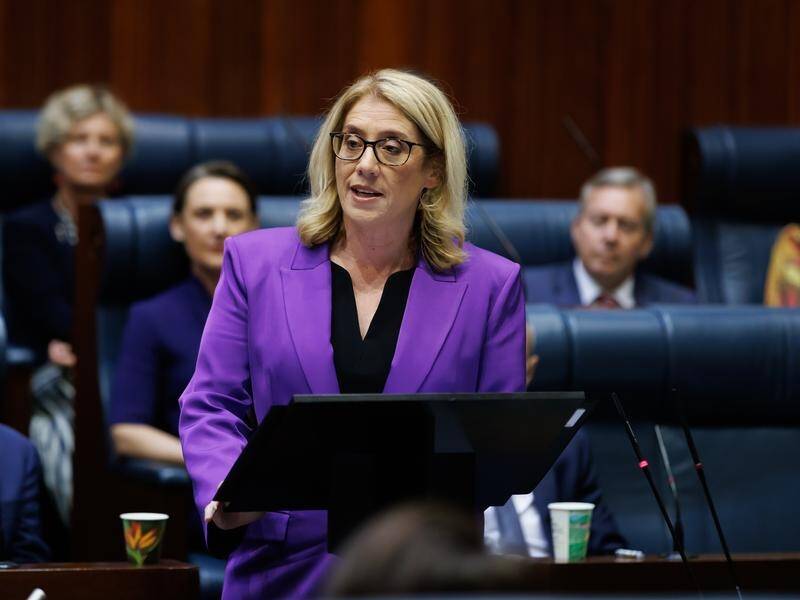 Western Australia Treasurer Rita Saffioti handed down the 2024-25 state budget on Thursday. (Richard Wainwright/AAP PHOTOS)
