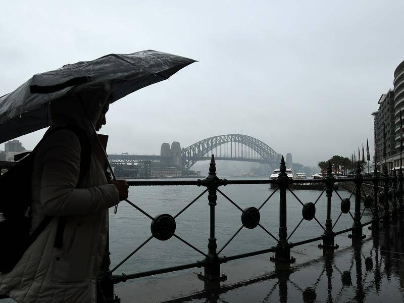A severe thunderstorm is possible after a 30C day for Sydney.