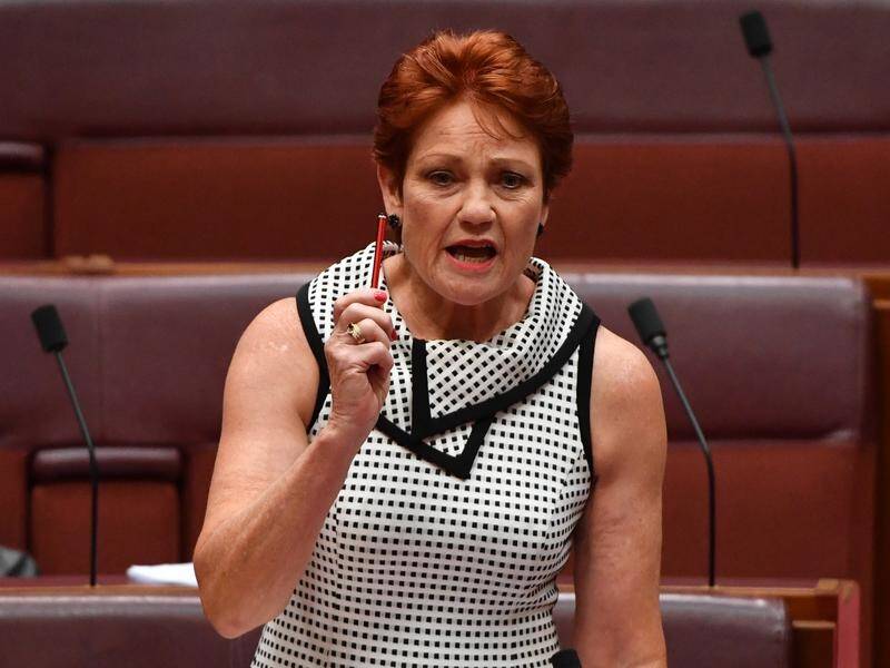 One Nation leader Pauline Hanson is threatening legal action on Queensland's border closure.