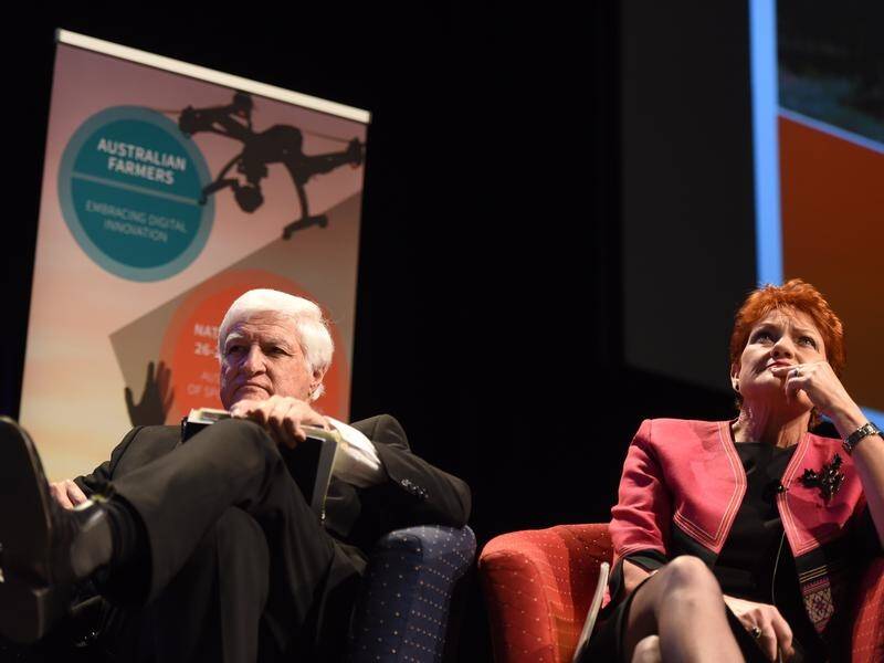 Bob Katter and Pauline Hanson have buried the hatchet and are teaming up in Queensland and Canberra.