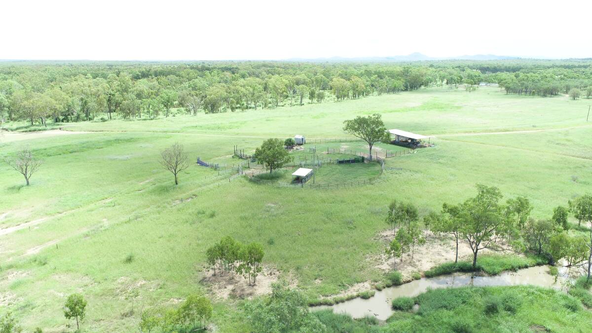North Queensland's Brookdale Station will be auctioned by Nutrien Harcourts in Charters Towers on April 28.