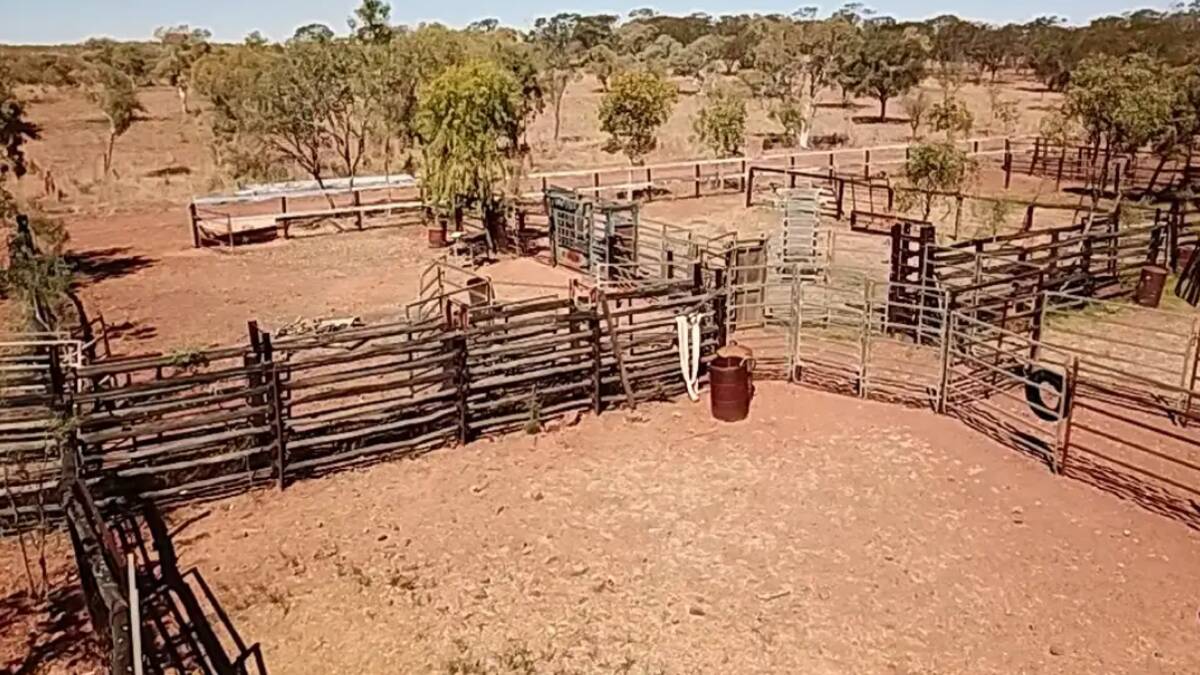 There are two sets of cattle yards as well as traps yards and a laneway.