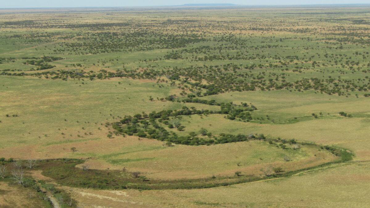 The Thornhill aggregation comprises of open, black soil Mitchell and Flinders grass downs country. 