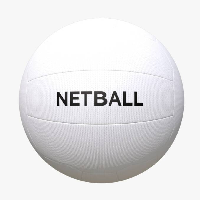 Player allegedly punched on netball courts