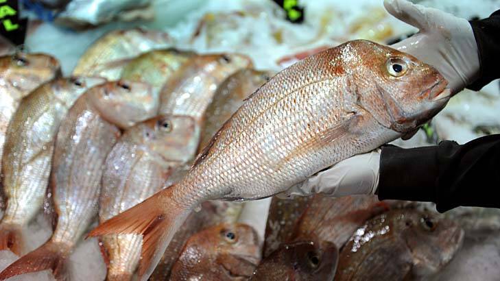 Smells fishy .... "Australians only want to eat fillet steak when it comes to seafood. They want snapper [pictured], whiting and flathead," says Patrick Hone of the Fisheries, Research and Development Corporation.