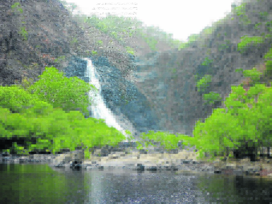 WATERFALL: Mike D'Arcy conducts half-day tours to Wujal Wujal falls and full-day trips to Cooktown.