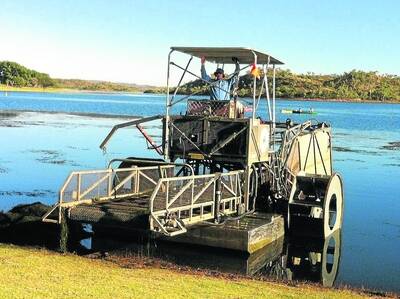 JUBILANT: An ecstatic Lachlan McAlpine, caretaker at Lake Moondarra, operates the weed harvester out at the lake. - zz