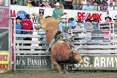 GUEST FOR SHOW: Troy Dunn rides Berger's Huskers Red for 85 points during the championship round Billings Built Ford Tough PBR. - zz