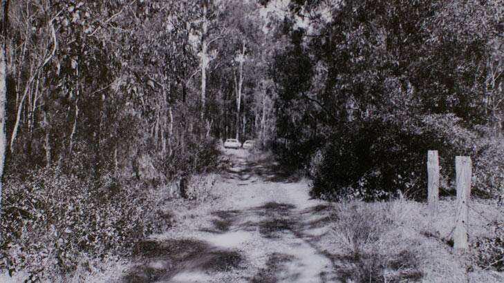 Crime scene photographs of the location where the bodies of Lorraine Ruth Wilson and Wendy Joy Evans were found in 1978. Photo: Courtesy of the Homicide Squad